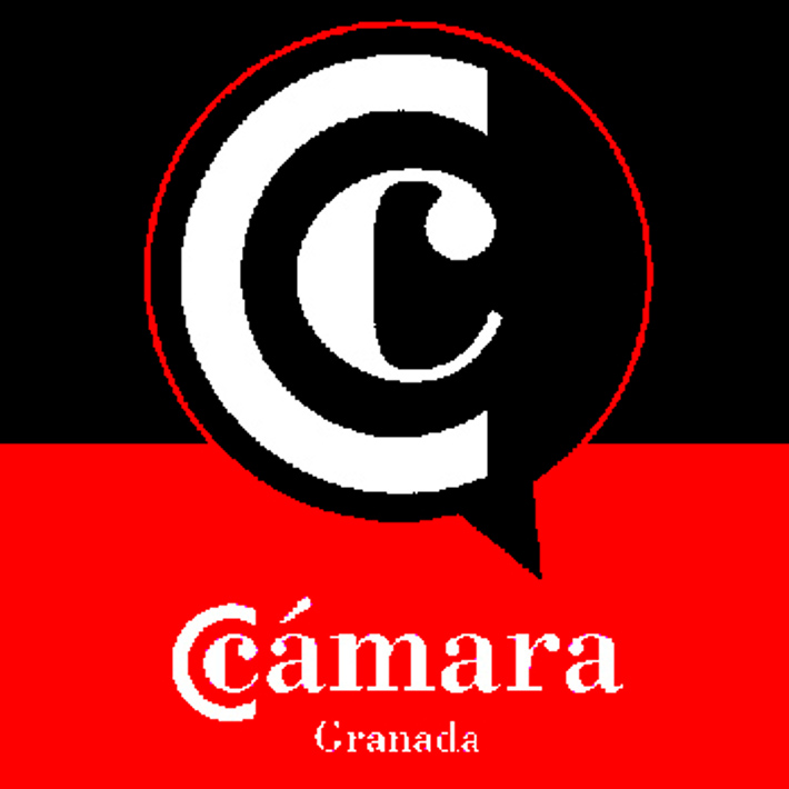 La Cámara de Comercio de Granada pone en marcha un nuevo 'Máster de Márketing digital, RR.SS y comercio electrónico
